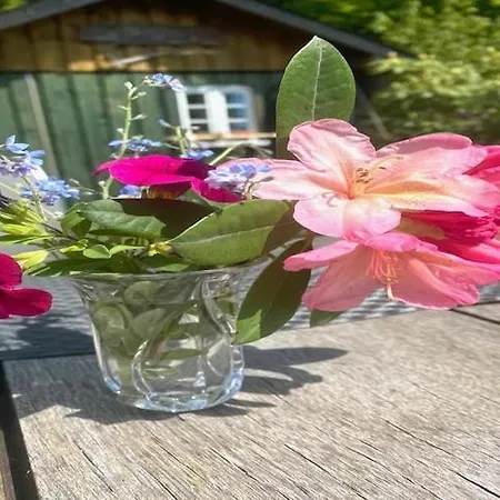 Romantic Garden Stay, Cleaning Included