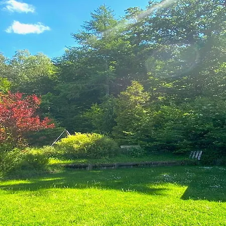 Romantic Garden Stay, Cleaning Included Daire