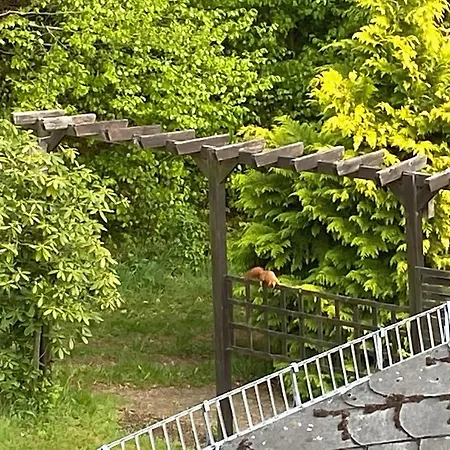 Romantic Garden Stay, Cleaning Included Daire